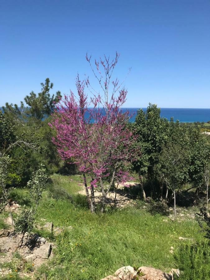 Philip'S Holiday House Neo Chorio Exterior foto